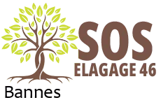 elagueur-sos-elagage