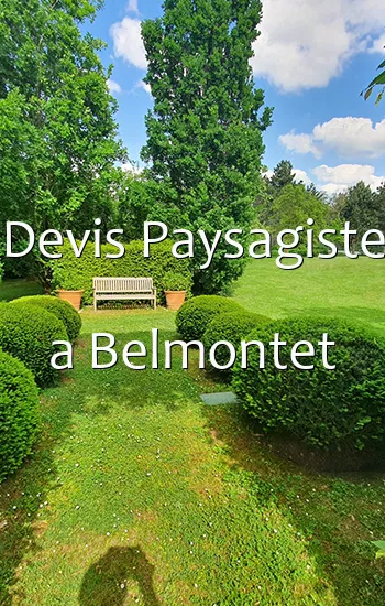 Devis Paysagiste a Belmontet