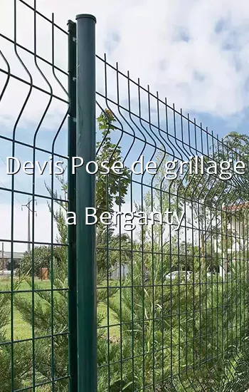 Devis Pose de grillage a Berganty