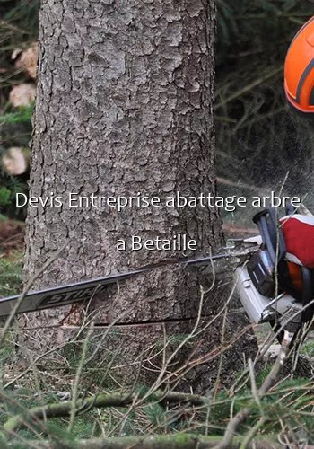 Devis Entreprise abattage arbre a Betaille