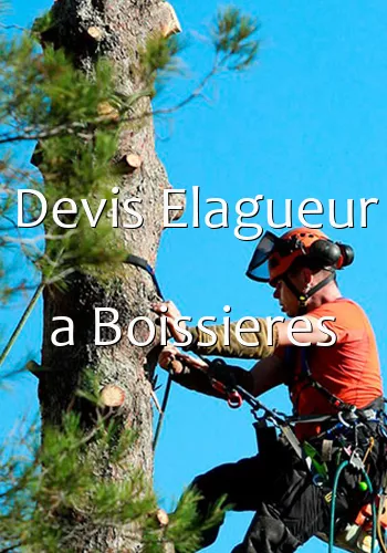 Devis Elagueur a Boissieres