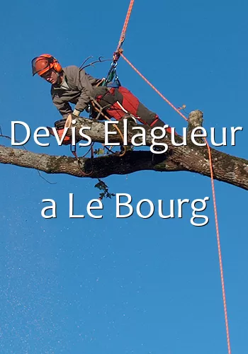 Devis Elagueur a Le Bourg
