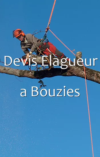 Devis Elagueur a Bouzies