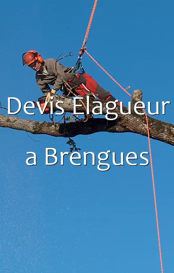 Devis Elagueur a Brengues