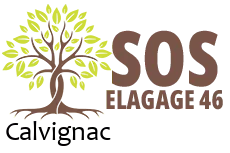 elagueur-sos-elagage
