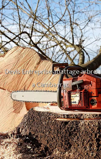 Devis Entreprise abattage arbre a Cambayrac