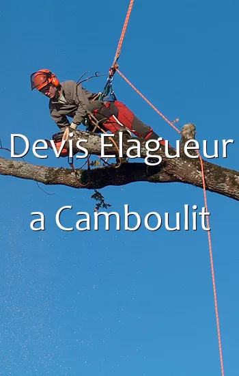 Devis Elagueur a Camboulit