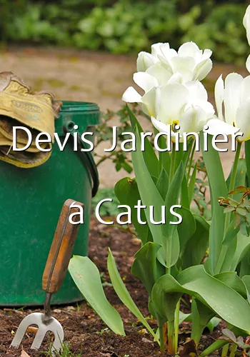 Devis Jardinier a Catus