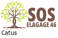 elagueur-sos-elagage