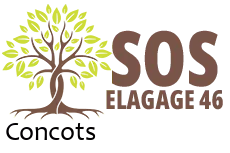 elagueur-sos-elagage