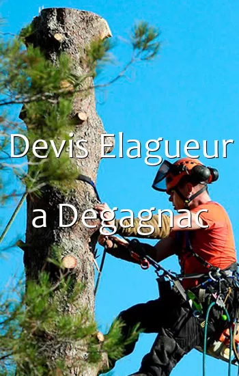 Devis Elagueur a Degagnac