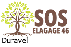 elagueur-sos-elagage
