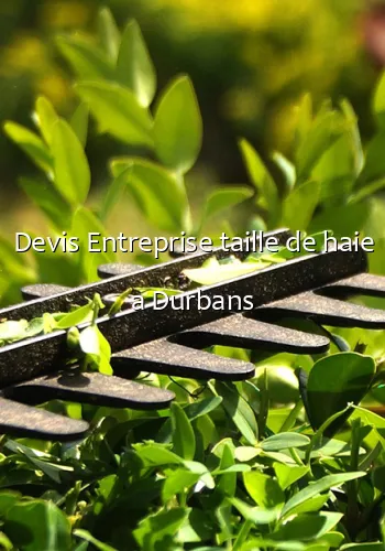 Devis Entreprise taille de haie a Durbans