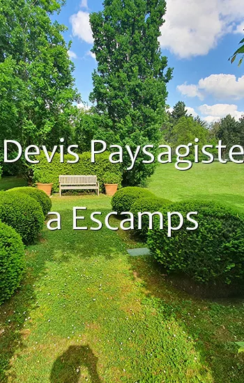 Devis Paysagiste a Escamps