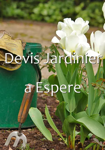 Devis Jardinier a Espere