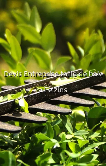 Devis Entreprise taille de haie a Felzins