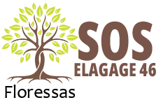elagueur-sos-elagage