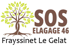 elagueur-sos-elagage