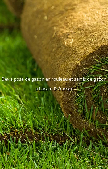 Devis pose de gazon en rouleau et semis de gazon a Lacam D Ourcet