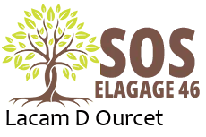 elagueur-sos-elagage