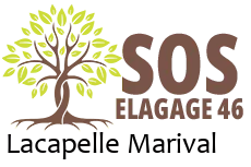 elagueur-sos-elagage