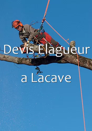 Devis Elagueur a Lacave