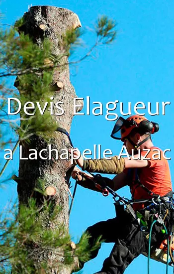 Devis Elagueur a Lachapelle Auzac