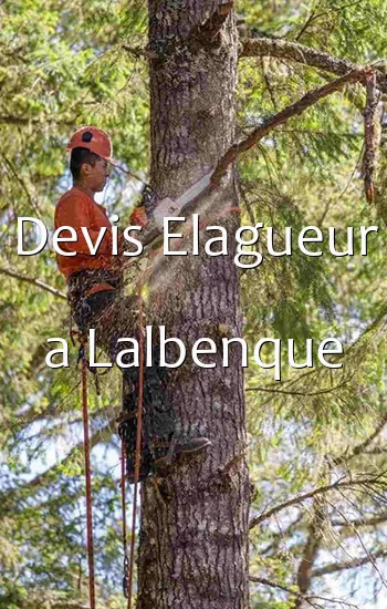 Devis Elagueur a Lalbenque