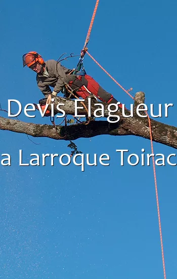 Devis Elagueur a Larroque Toirac