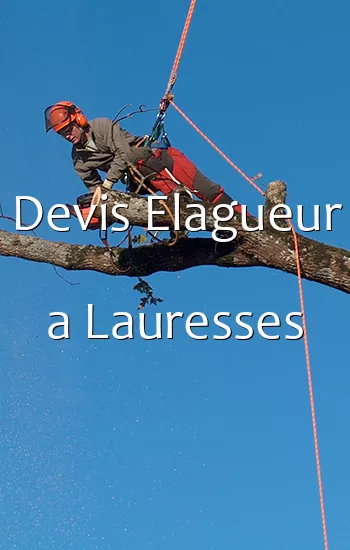 Devis Elagueur a Lauresses