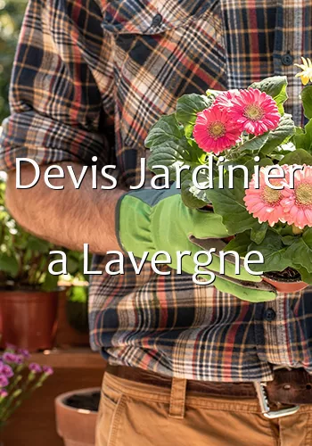 Devis Jardinier a Lavergne