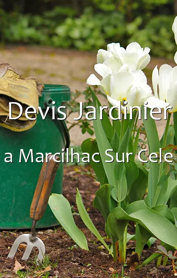 Devis Jardinier a Marcilhac Sur Cele