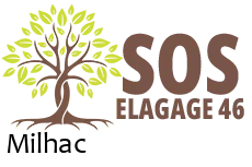 elagueur-sos-elagage