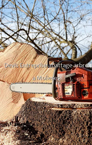 Devis Entreprise abattage arbre a Molieres
