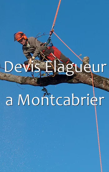 Devis Elagueur a Montcabrier