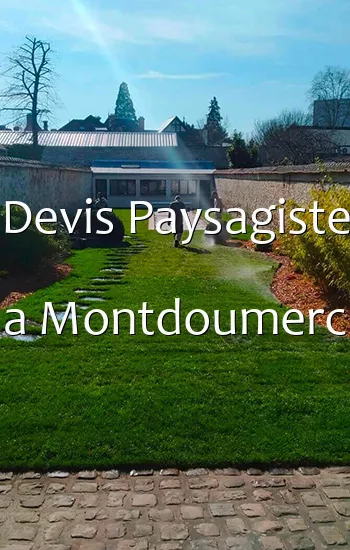 Devis Paysagiste a Montdoumerc