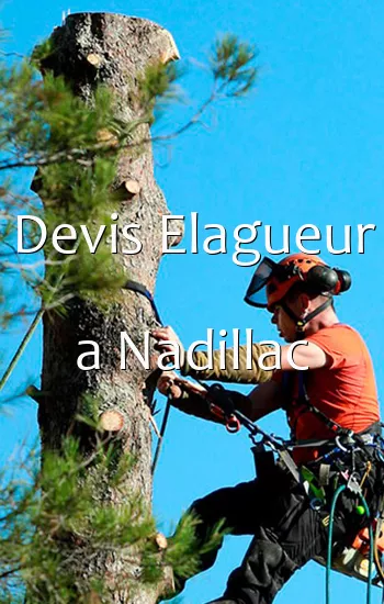 Devis Elagueur a Nadillac