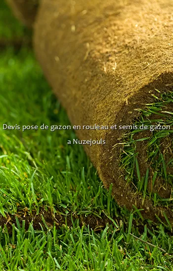 Devis pose de gazon en rouleau et semis de gazon a Nuzejouls