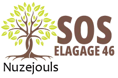 elagueur-sos-elagage