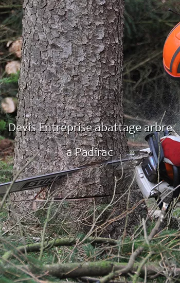 Devis Entreprise abattage arbre a Padirac