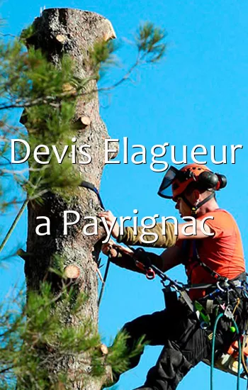 Devis Elagueur a Payrignac