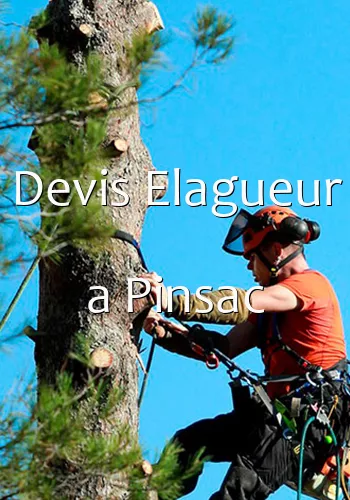 Devis Elagueur a Pinsac