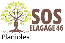 elagueur-sos-elagage