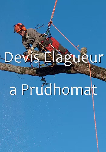 Devis Elagueur a Prudhomat