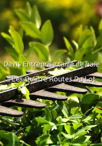 Devis Entreprise taille de haie a Les Quatre Routes Du Lot