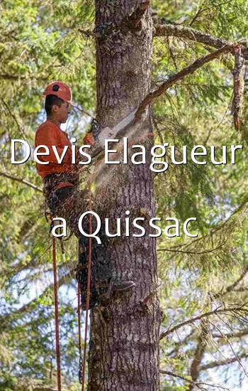 Devis Elagueur a Quissac
