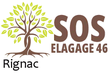 elagueur-sos-elagage