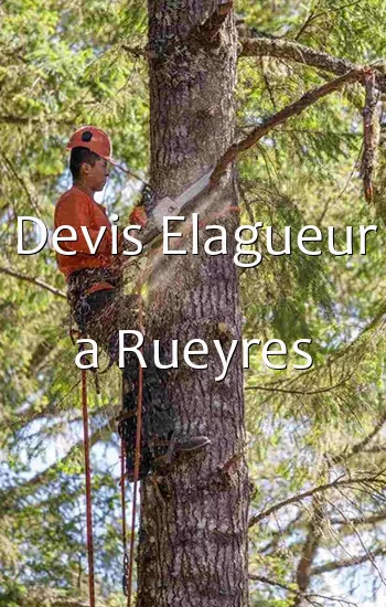 Devis Elagueur a Rueyres