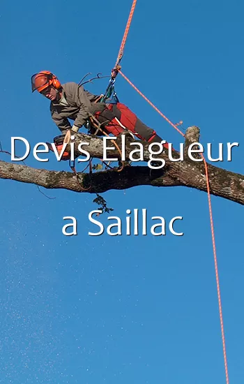 Devis Elagueur a Saillac