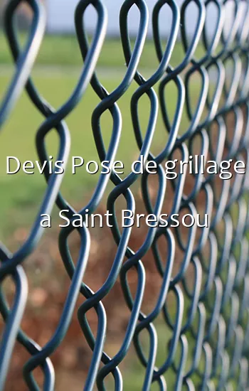 Devis Pose de grillage a Saint Bressou